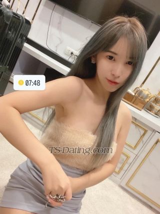 trans girl Farjang 8766261 trans girl Farjang 8766261