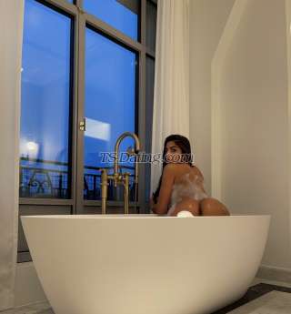 trans girl Fezinha 9047114 trans girl Fezinha 9047114