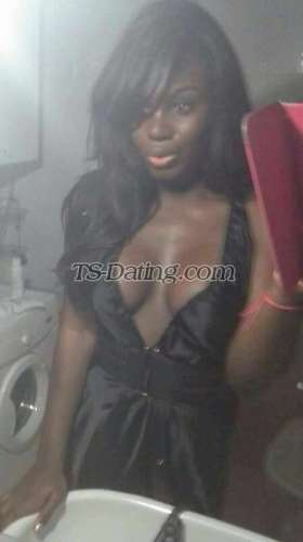 trans girl Flaviasexy 2077715