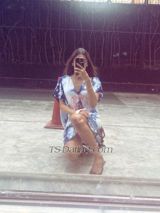 trans girl FoxiGINA 6756323 trans girl FoxiGINA 6756323