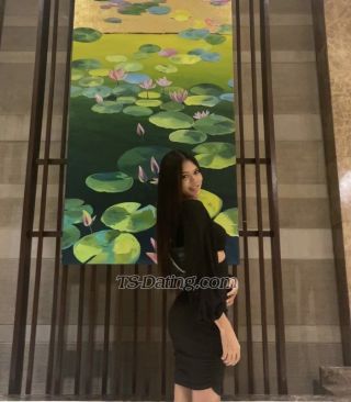 trans girl FoxiGINA 6756415 trans girl FoxiGINA 6756415