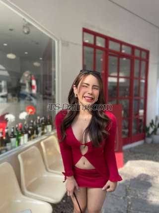 trans girl Frameisaradee 6857263 trans girl Frameisaradee 6857263