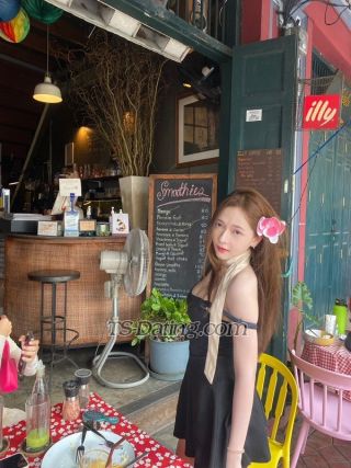 trans girl Freshy 1493769 trans girl Freshy 1493769