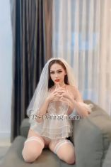 fah zoey Penang TS escort 