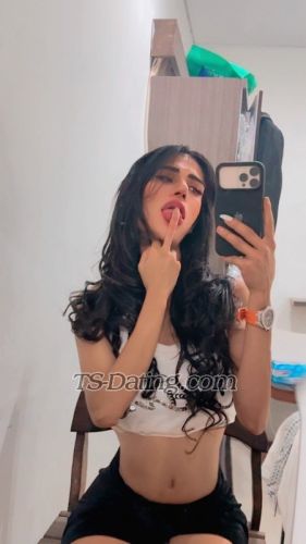 trans girl fiola22 3905745 trans girl fiola22 3905745