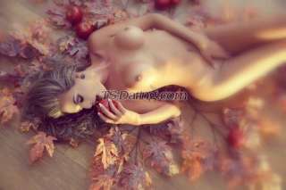 trans girl GABYWISH 3436720 trans girl GABYWISH 3436720