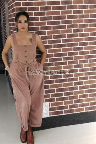 trans girl Galexy 6240309 trans girl Galexy 6240309