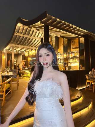 trans girl Gamess 6263657 trans girl Gamess 6263657