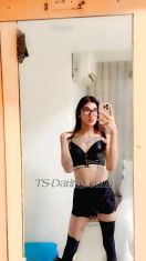 Gayutrans Pune Viman Nag Transex 