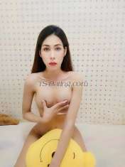 Getzy Getzy Getzy Koh samui Transex My Name  Getzy
I'm a ladyboy can top and bottom 
I love travelling and meeting new people.
I live in koh samui chaweng 
Line ID   getsmile2015
WhatsApp +66895893554
Instagram  get_napatchanan
 Who come to Thailand and want to find new friends I can go and enjoy you throughout the trip I can be friends, eat, drink, party throughout your stay in Thailand. 
 I can move to another country with who love me and really want me