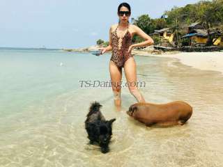 trans girl Getzy 1344277 trans girl Getzy 1344277