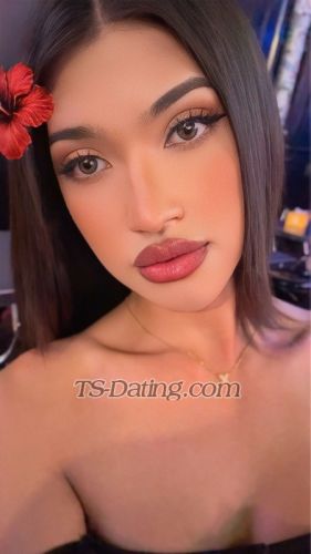 trans girl Gina15 3836759