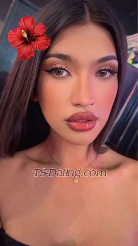 trans girl Gina15 3836773