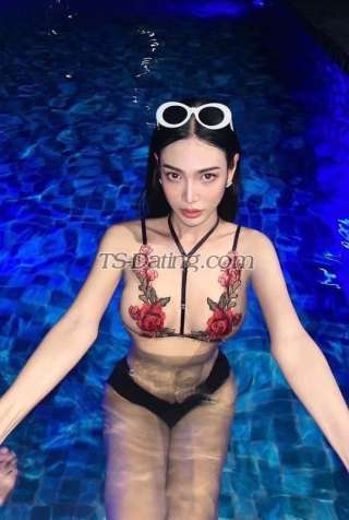 trans girl Gina3001 3218747