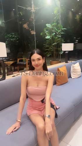 trans girl Gina3001 3218951