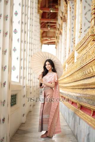 trans girl GinaSexyThai 8619269 trans girl GinaSexyThai 8619269