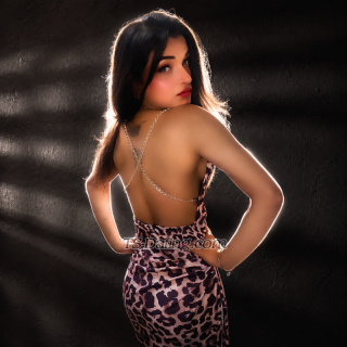 trans girl Ginie 8806367