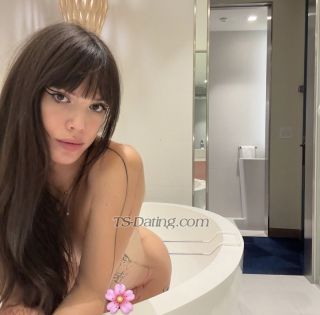 trans girl Girlfriendick 9182982 trans girl Girlfriendick 9182982