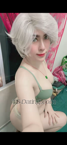 trans girl Gisca88 4591459