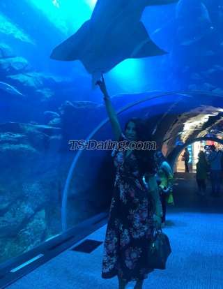 trans girl Giulytx 4560186 trans girl Giulytx 4560186