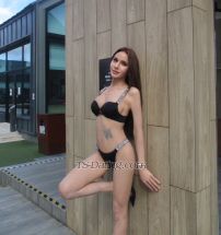 Gmail699 Riyadh Transex WhatsApp and telegram : +Six six nine eight eight two nine
one six zero sixTelegram: @babegmailWechat :
Jasmail05🔈Hello, my name is Mail.thick cock
hard and cum lotAm 24 years old, from Thailand mixed
Colombia , cute, beautiful. time at hongkong now in en't had
gender reassignment surgery yet. Cock size 17 cm.❤️
You can call me Mail from 🇹🇭 mix
🇪🇨🪒🪒No send porn photos.
🔏🔏SERVICES INCLUDED 🍆- good fuck
✔️- cum together ✔️- Sex with condom
✔️- Blowjob CIM  ✔️- Girlfriend Experience
✔️- Handjob ✔️- french kiss ✔️-
69 position ✔️*Use medicine
PreP❤️‍🩹*✅ Healthy and clean.  ✅
Blood tests have been ❌  HIV, AIDS , Syphilis ,❌