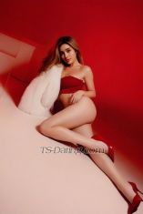 Grace88888888 Bangkok Transex 🎀 LINE ID: graceee.1.6.8.1.6.8🎀 WHATSAPP:
+6.6.9.9.4.1.0.7.0.8.4🎀 TELEGRAM:
+6.6.9.9.4.1.0.7.0.8.4💡 (Please type without dots
when adding contacts)👑 GRACE PRIVÉ IN BANGKOK
👑Hi gentlemen! I’m Grace, 2.6. years old
newly based in Bangkok. 🌟Looking for a real,
premium, and elite companion? I’m here for you.
❤️--------------------------------------------
------🔥 MY HIGHLIGHTS:👠 MODEL
BODY: Height 1.7.7. cm / Weight 5.7. kg (100%
Real!)🎯 VERSATILE: Active & Passive roles.
Open-minded for you.💋 GFE STYLE: Sweet, friendly, no
rush, and high hygiene
🧼----------------------------------------------
----🏢 SERVICES & LOCATION:✨ Incall
& Outcall (Luxury hotels around Sukhumvit, Sathorn, Central
BKK)🥂 Executive dinner dates & private
companion🔒 100% Genuine photos. Privacy
guaranteed.💬 Text me now! Let's have an amazing
time together 😉