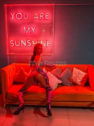 trans girl Gracez69 4569452 trans girl Gracez69 4569452