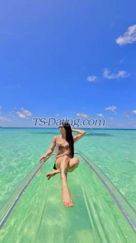 trans girl gftania 8096008 trans girl gftania 8096008