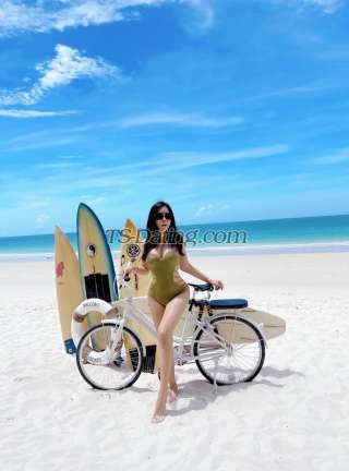 trans girl HIDY19 4532729 trans girl HIDY19 4532729