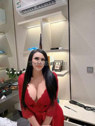 trans girl Haifa2456 1450723 trans girl Haifa2456 1450723