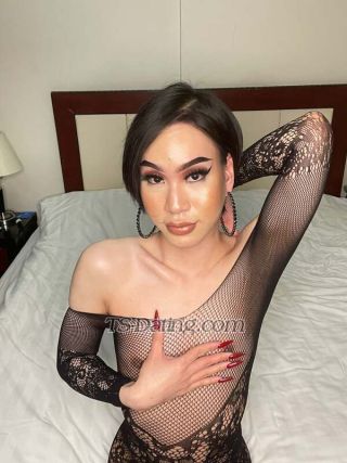 trans girl Haifa69 4168323 trans girl Haifa69 4168323