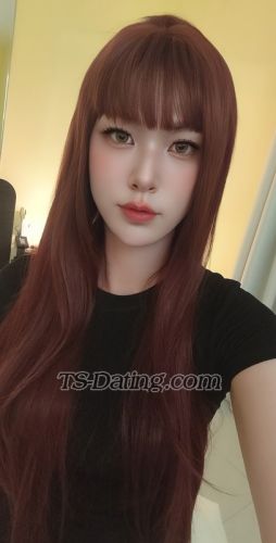Shemale-HanHan-5783839