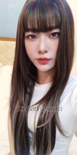 trans girl HanHan 7386523 trans girl HanHan 7386523