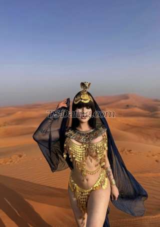 trans girl Harddfuckerr 1446120 trans girl Harddfuckerr 1446120