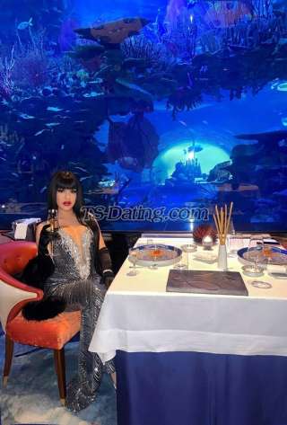 trans girl Harddfuckerr 9728503 trans girl Harddfuckerr 9728503