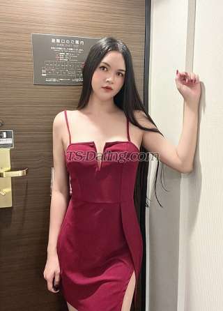 trans girl Hartbeet 5729739 trans girl Hartbeet 5729739