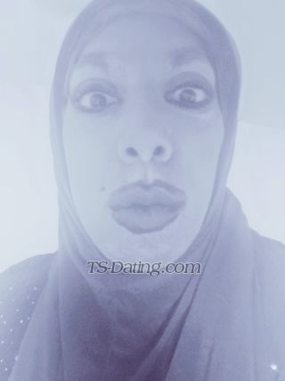 trans girl HayfaaaTgirl 2739617