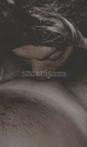 trans girl HayfaaaTgirl 4178859