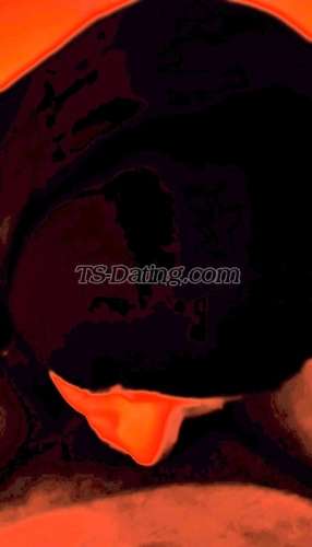 trans girl HayfaaaTgirl 4178949