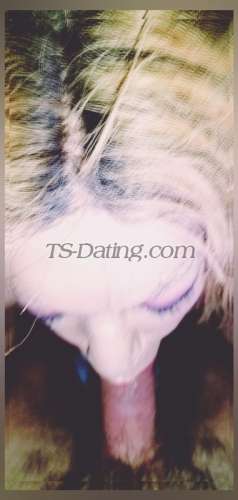 trans girl HayfaaaTgirl 4871797