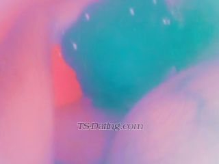 trans girl HayfaaaTgirl 8865672