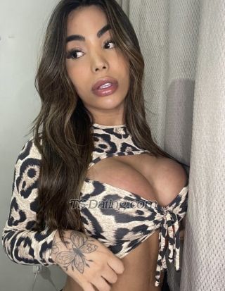 trans girl Heatflux 4963511 trans girl Heatflux 4963511