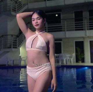 trans girl Hershey04 0657563 trans girl Hershey04 0657563