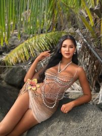 Hide2545 Phuket Transex Meet up and cam show

Let’s meet if you are in
Phuket now
Don’t waste your time if you are not in
Phuket right now thanks 🙏

✅line : Fowler45