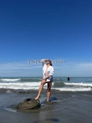 trans girl Himariii 8728099 trans girl Himariii 8728099