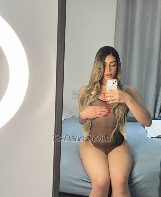 trans girl Holanda 3332519 trans girl Holanda 3332519