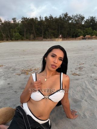 trans girl HollyAmber 4438368