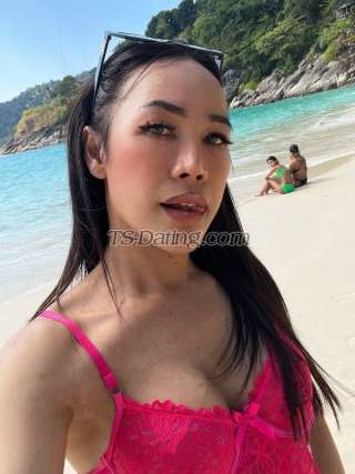 trans girl Honey69 6988102 trans girl Honey69 6988102