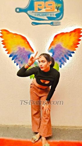 trans girl HoneySexy 4962801