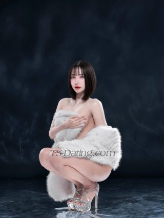 trans girl Honeysweet 8733784 trans girl Honeysweet 8733784